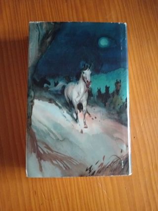 El valle de los caballos