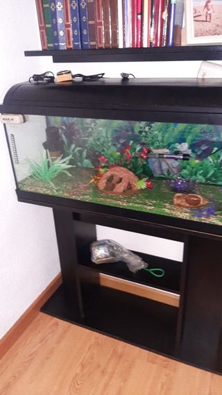 Acuario 100cm