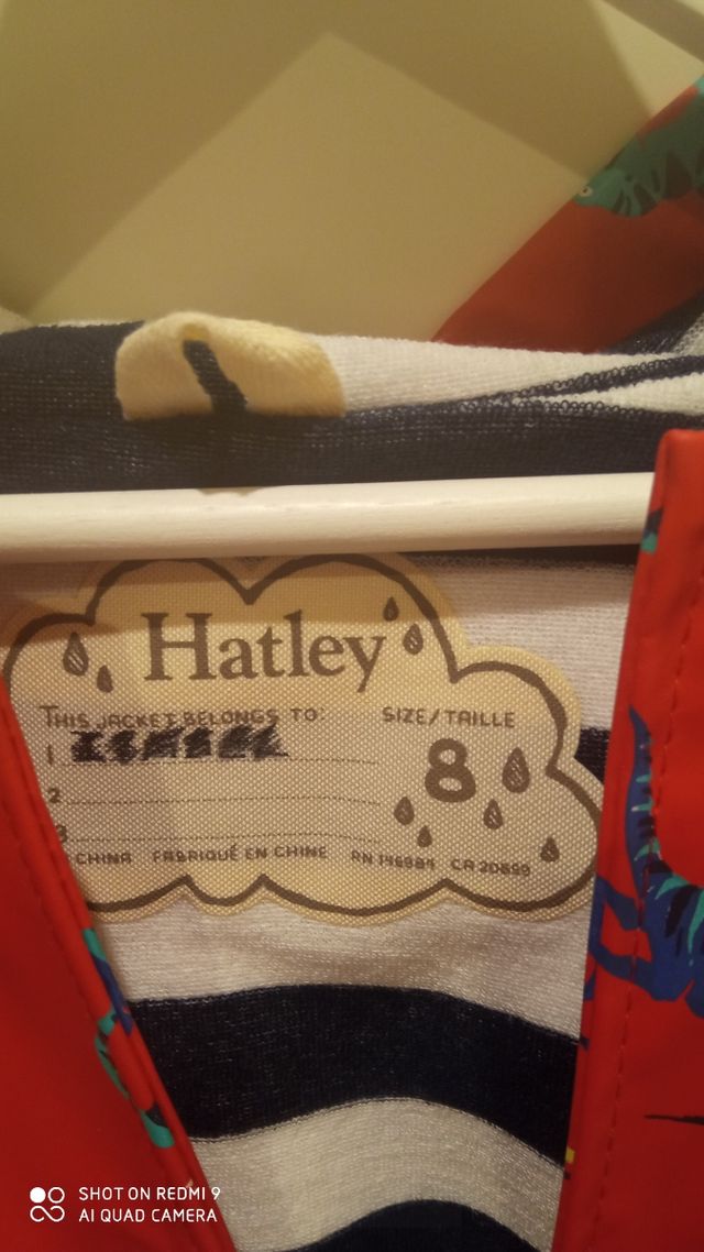 Chubasquero Niño Hatley Dino Talla 8