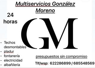 Multiservicios González Moreno
