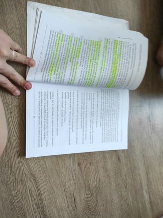 Teoria del Trabajo Social