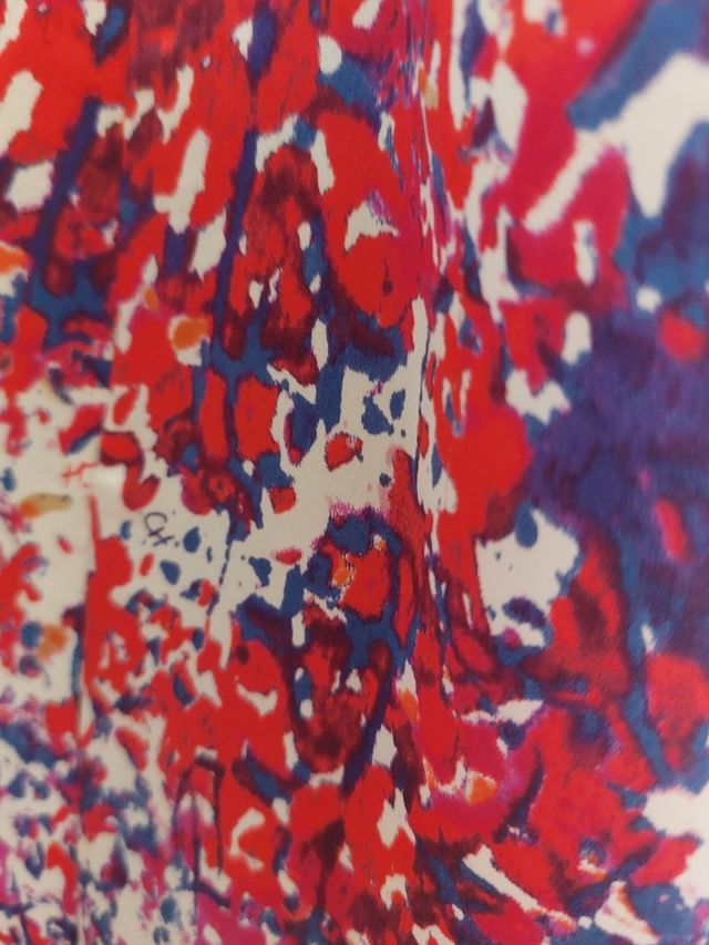 Vestido fiesta Carolina Herrera multicolor