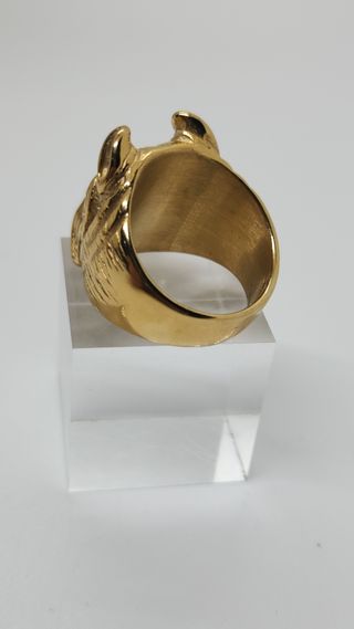 Anillo pitbull dorado
