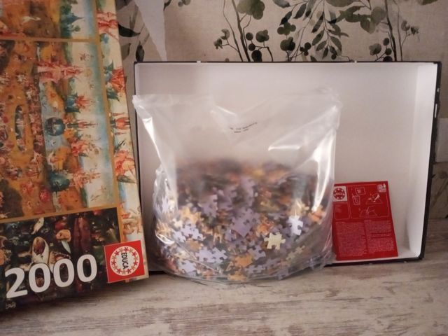 Puzzle 2000 pezzi Il Giardino delle Delizie