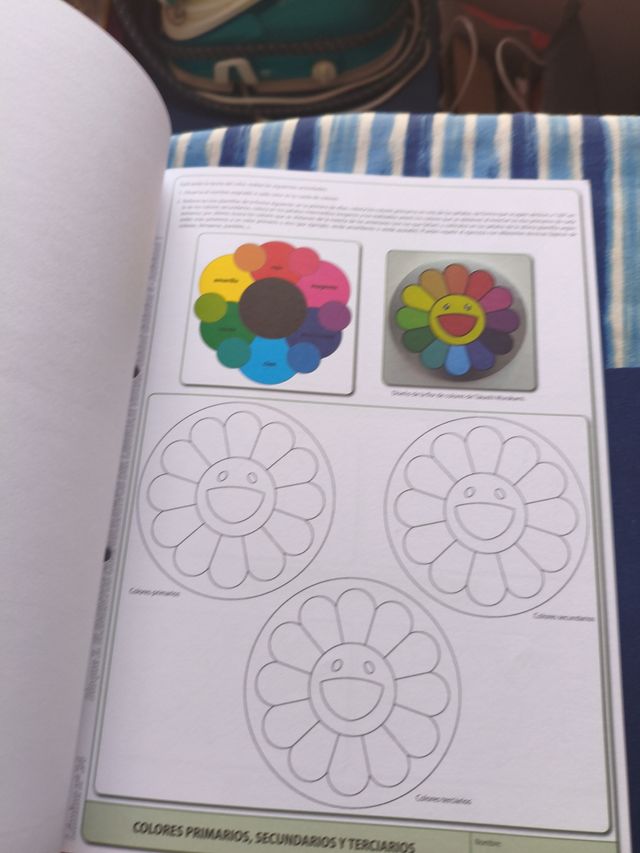 Educación Plástica y Visual. Nivel I. Actividades