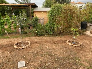Caseta de madera, cocina, pérgola, valla, bancales