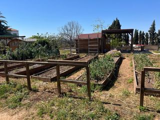 Caseta de madera, cocina, pérgola, valla, bancales