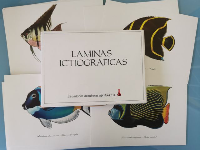 Láminas ictiográficas (45 láminas)