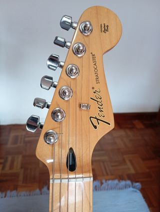 Fender Stratocaster Std. 2014 MIM