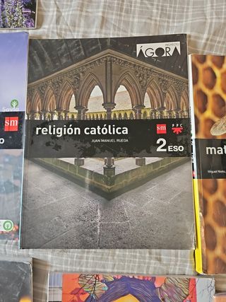 Pack 10 libros Texto 2o ESO editorial SM