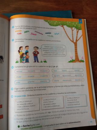 Lengua. 3 Primaria. 2 y 3 trimestre