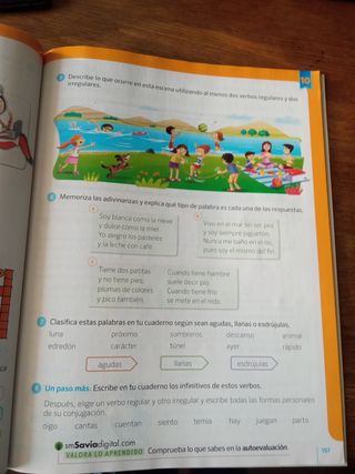 Lengua. 3 Primaria. 2 y 3 trimestre