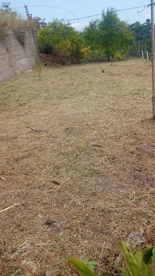 Desbrose de parcelas 632472573