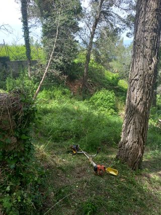 Desbrose de parcelas 632472573