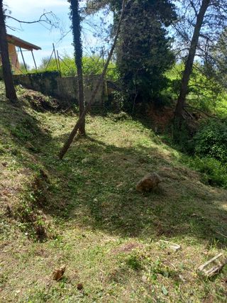 Desbrose de parcelas 632472573