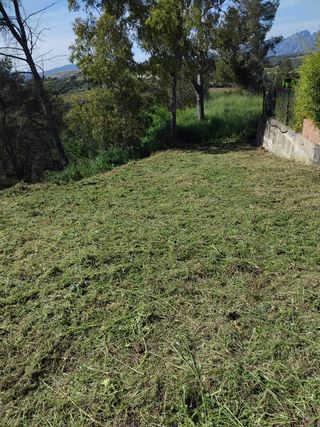 Desbrose de parcelas 632472573