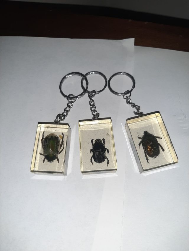 3 Portachiavi Scarabei inclusi in blocchi di Resin