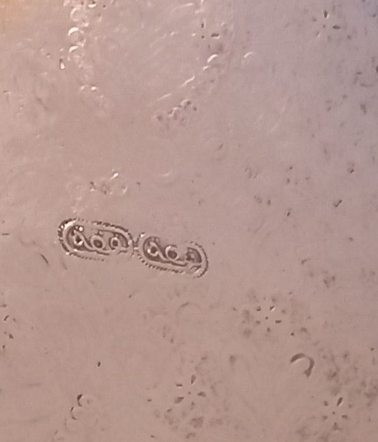 Bandeja oval plata metal