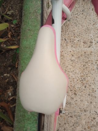 Bicicleta sin pedales niña