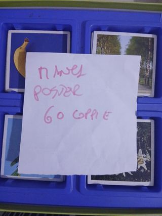 Giochi Memory: Minnie & Fiori