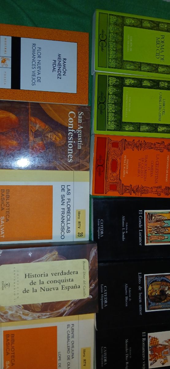 LITERATURA MEDIEVAL ESPAÑOLA