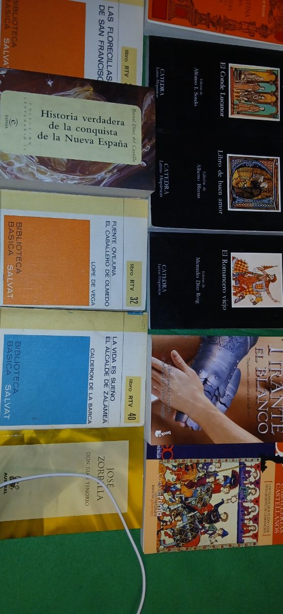 LITERATURA MEDIEVAL ESPAÑOLA