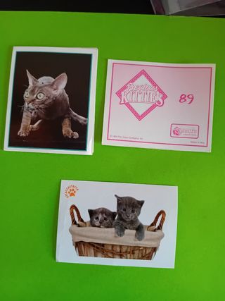 3 Stickers Gatti - Precious Kitties