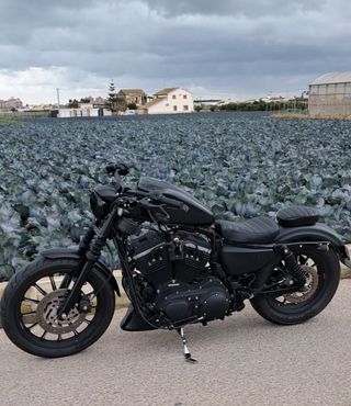 Harley Davidson Sportster Iron 883 - Impecable