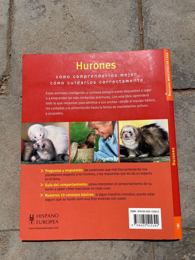 Hurones: Sanos y Felices