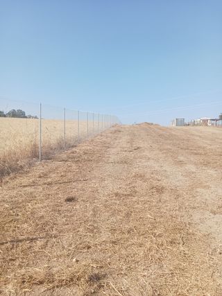 Cerramiento metálico para fincas