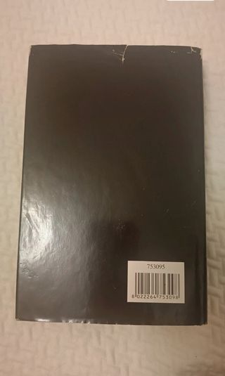 Il cacciatore di aquiloni