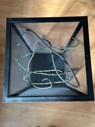 Terrario camaleones - Jaula negra