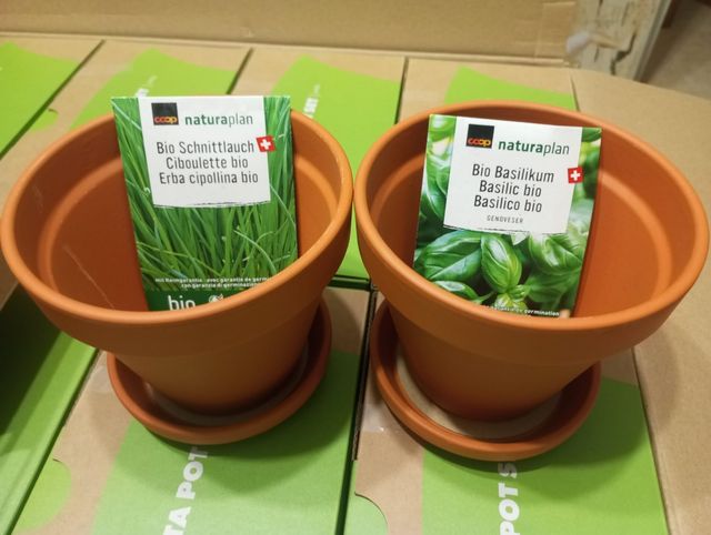 2 Maceteros Naturaplan Terracota