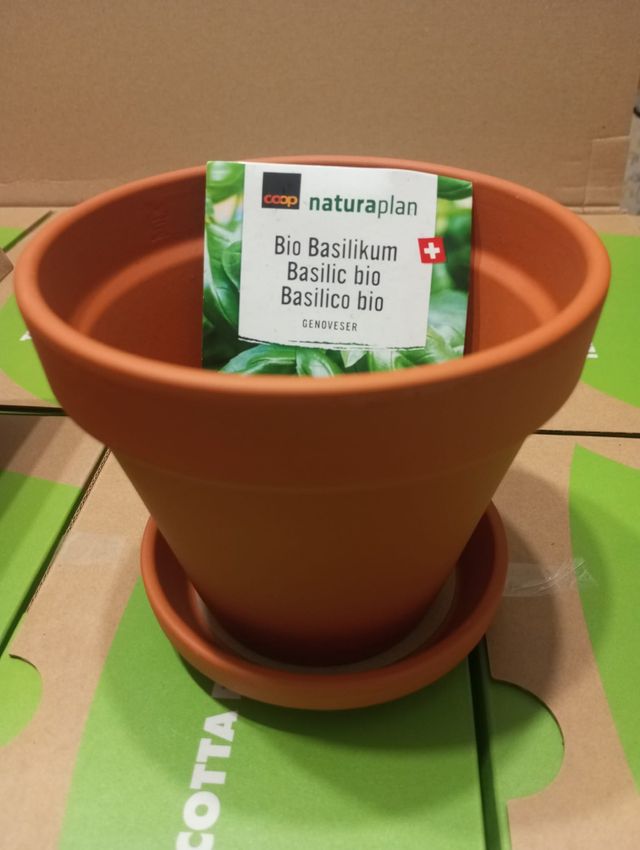 2 Maceteros Naturaplan Terracota