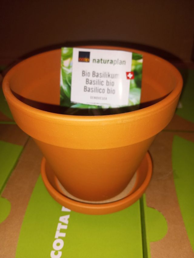 2 Maceteros Naturaplan Terracota