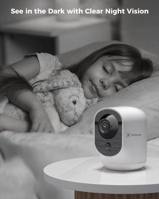 2 Camaras vigilancia inalámbricas.