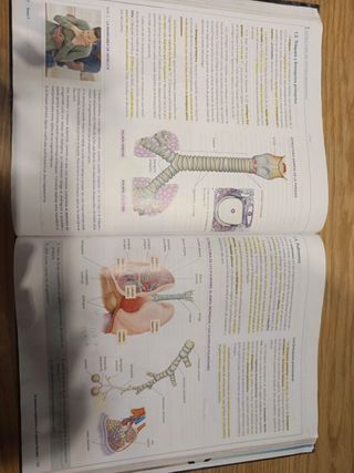 Libro de anatomía aplicada 1bachillerato 