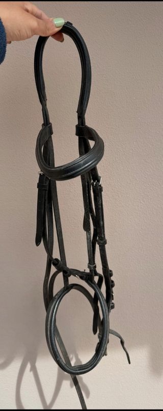 Testiera Equitazione Nera