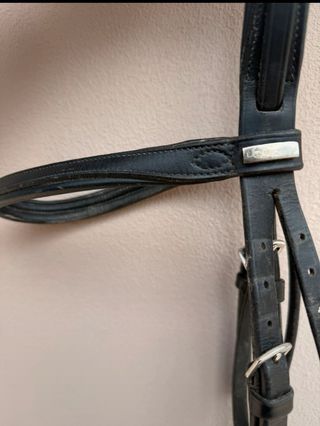 Testiera Equitazione Nera