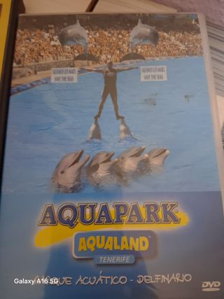 6 Películas DVD Variadas