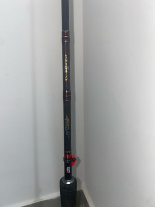 Caña Abu Garcia Hornet