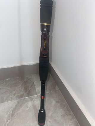 Caña Abu Garcia Hornet
