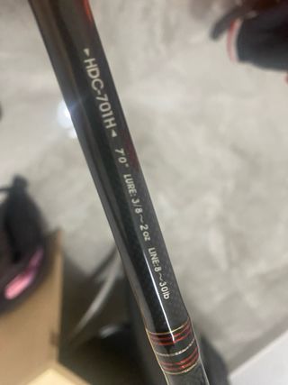 Caña Abu Garcia Hornet