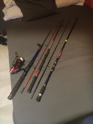 Cañas de pescar 