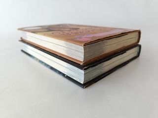 Princesas del Reino de la Fantasía