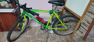 Bicicletas montaña adulto