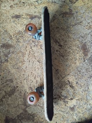 Skate usado