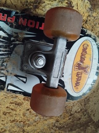 Skate usado