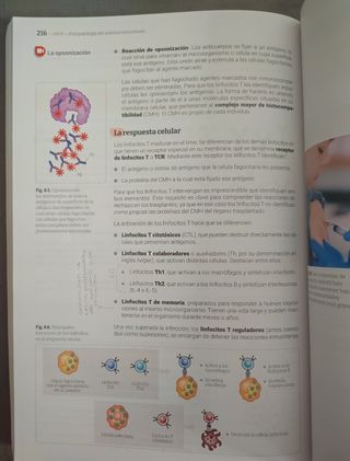 Fisiopatología general