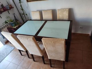 Mesa SUPER GRANDE extensible más seis sillas.